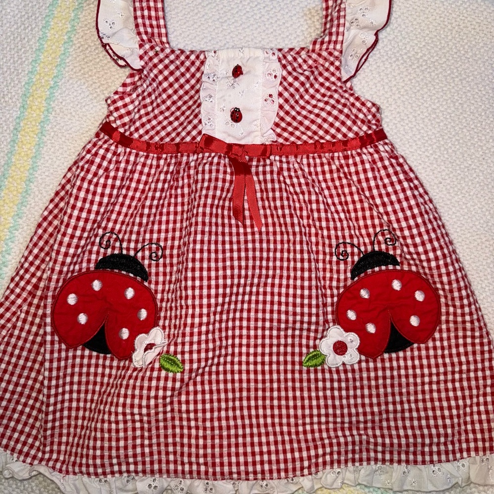 Youngland Lady Bug Dress
